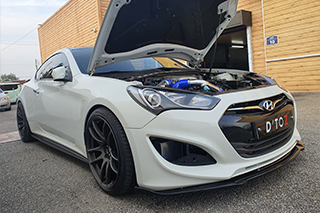 Hyundai genesis category picture